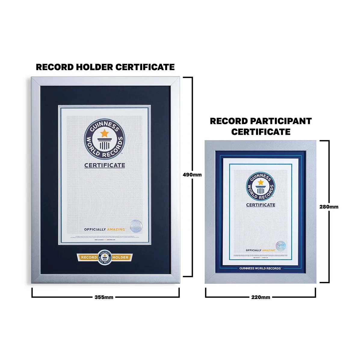 Record Holder Certificate Silver Frame - Image 6